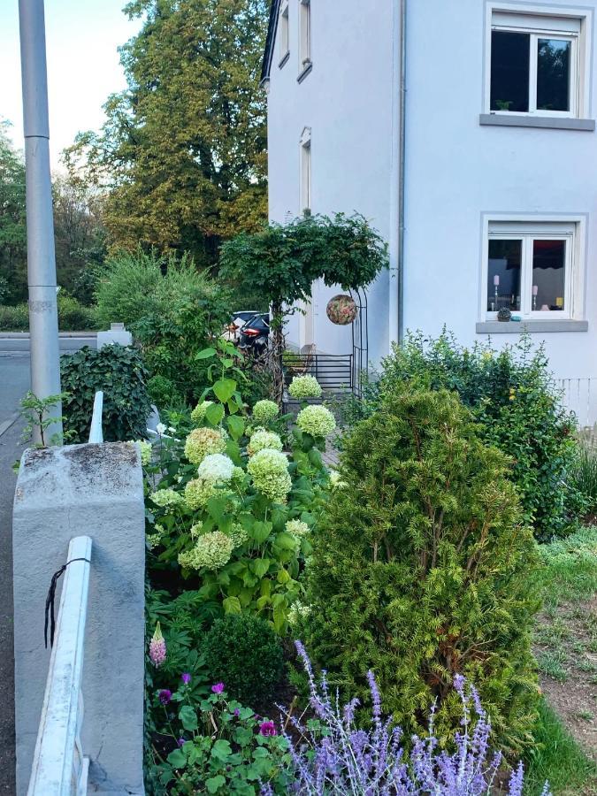 Sascha'S Home ซาร์ลุย ภายนอก รูปภาพ